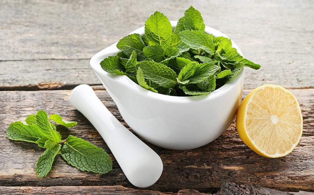 Fresh lemon balm leaves in a mortar and pestle