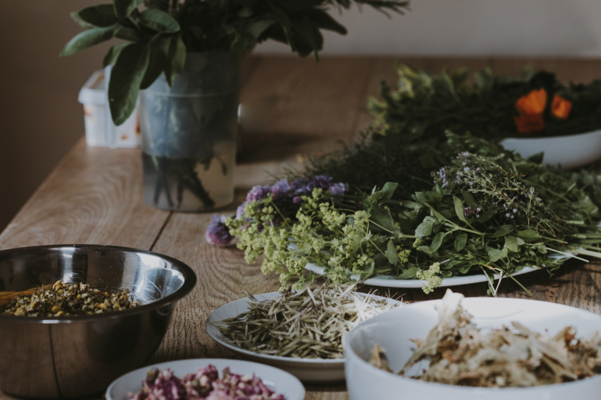 Grow your own herbal medicine cabinet? Yes, you can.