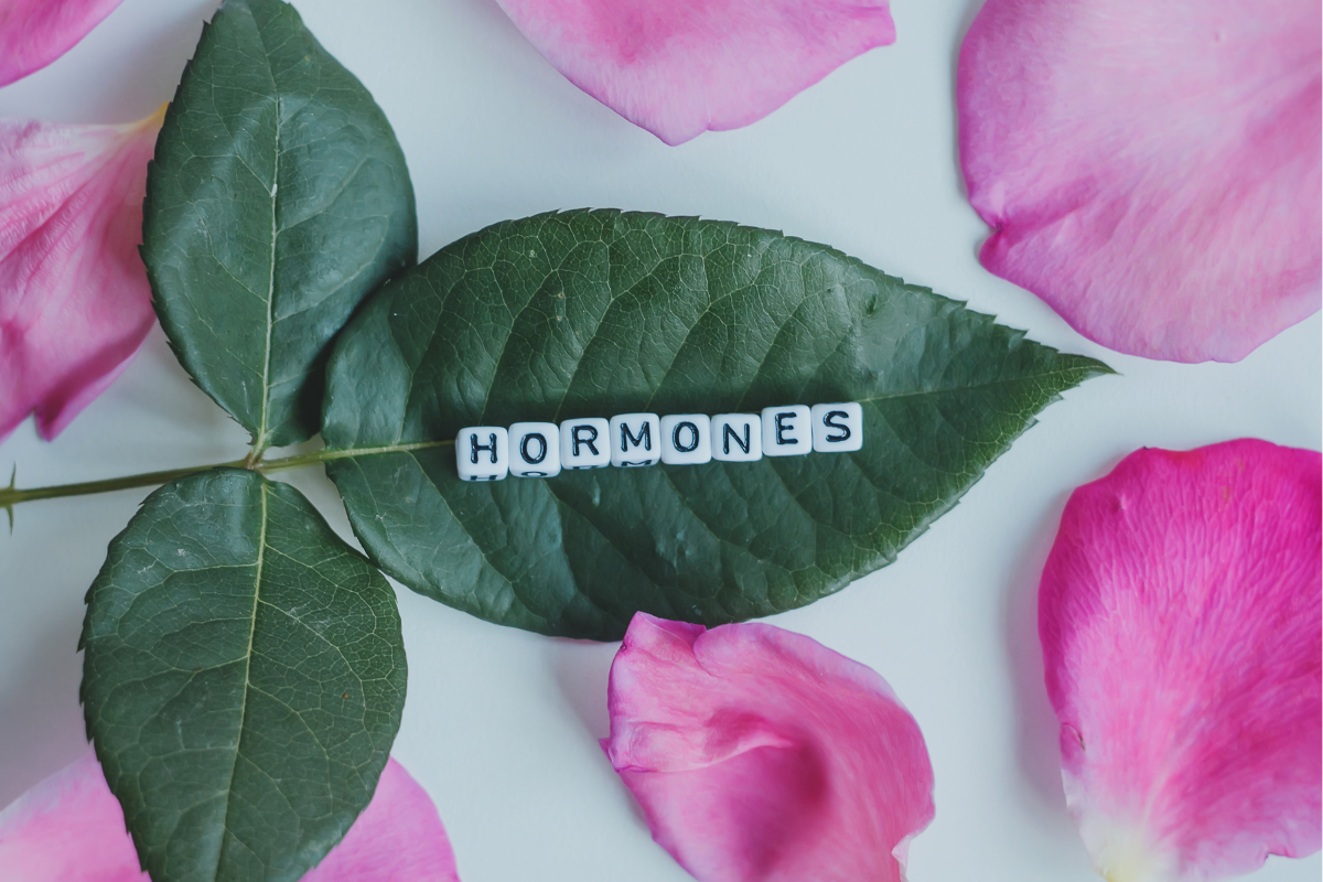 Natural Hormone Balancing Therapies For Menopause