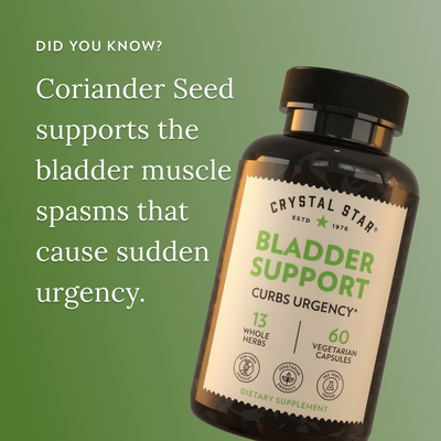 Bladder Support