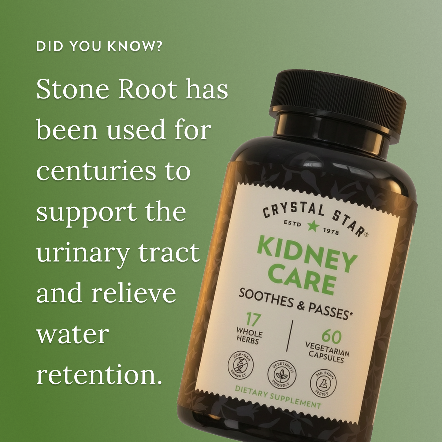 Crystal Star Kidney Care supplement bottle on a green background with text about stone root's uses.